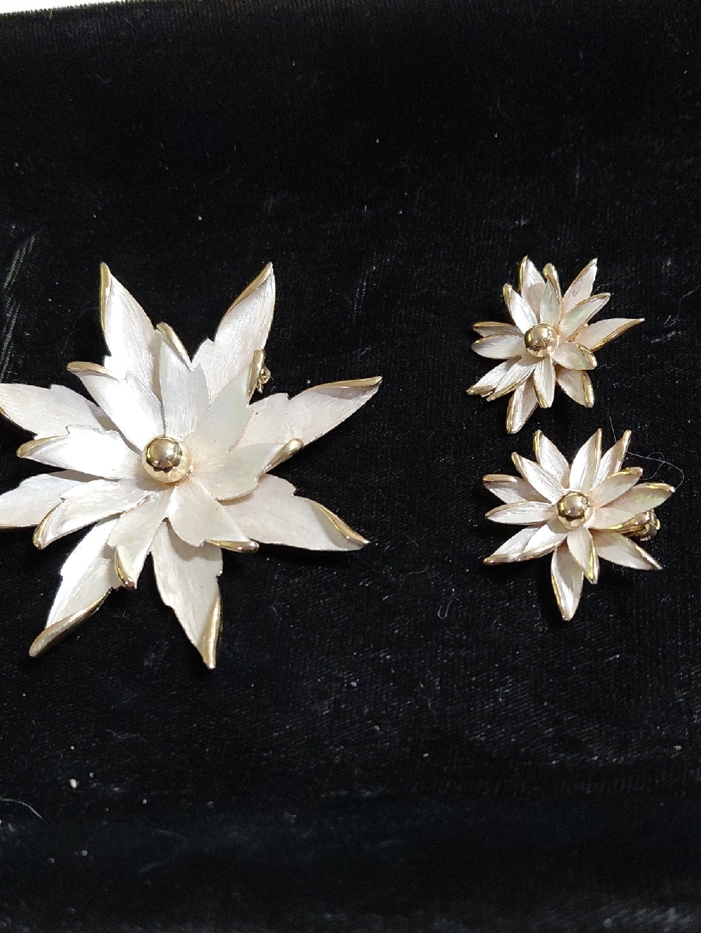 Gold-Trim White Floral Brooch and Earring Set
